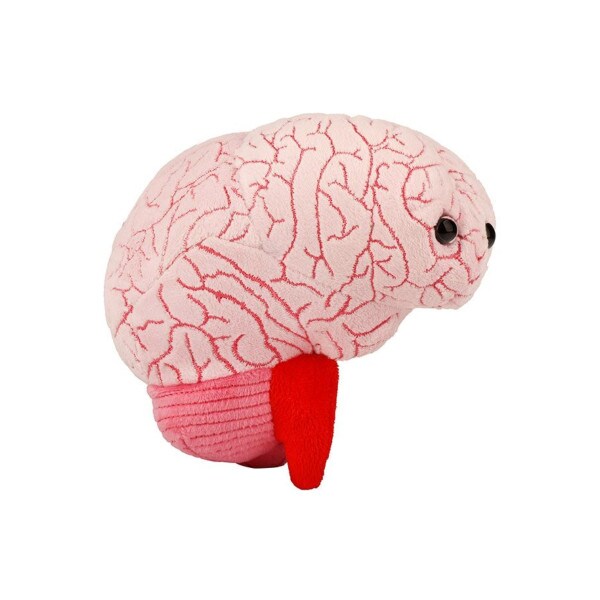 Brain Plush